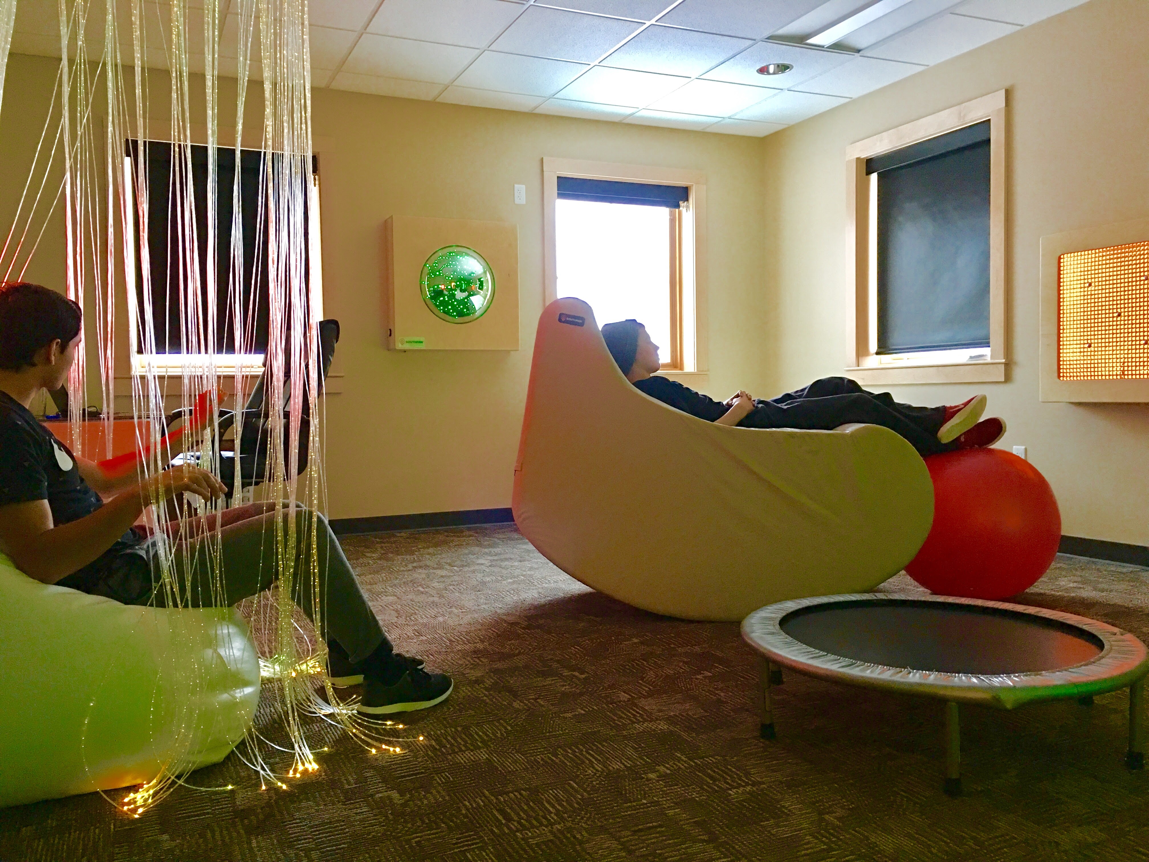 LCMS Foundation Grant