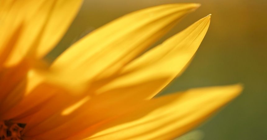 Tearing Up After Receiving Donation from Former Ranch Resident