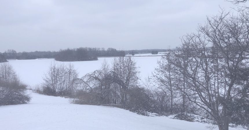 Can You Walk on Water?