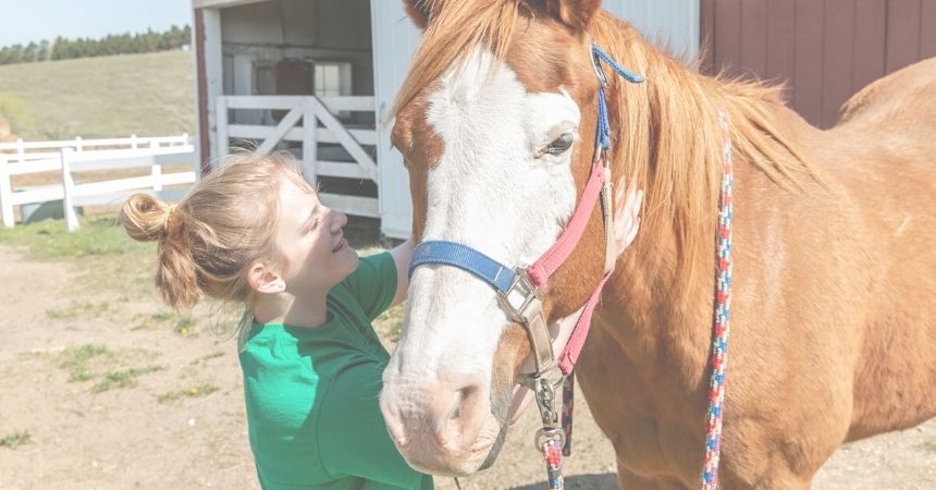 Our Four-Legged Staff Know a Little About Unconditional Love