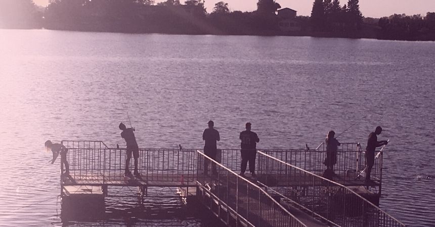 Something We Can All Agree On?