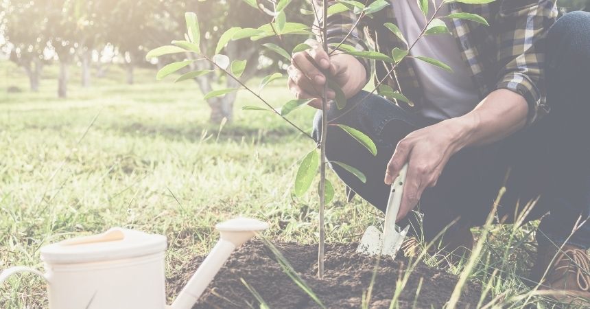 A Hard and Joyous Day