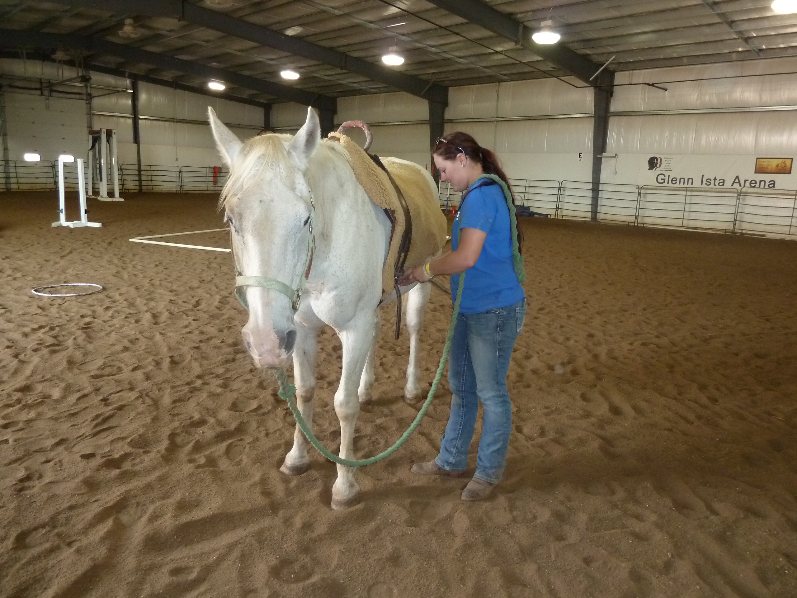 Finding common ground and healing through Ranch Horse Program