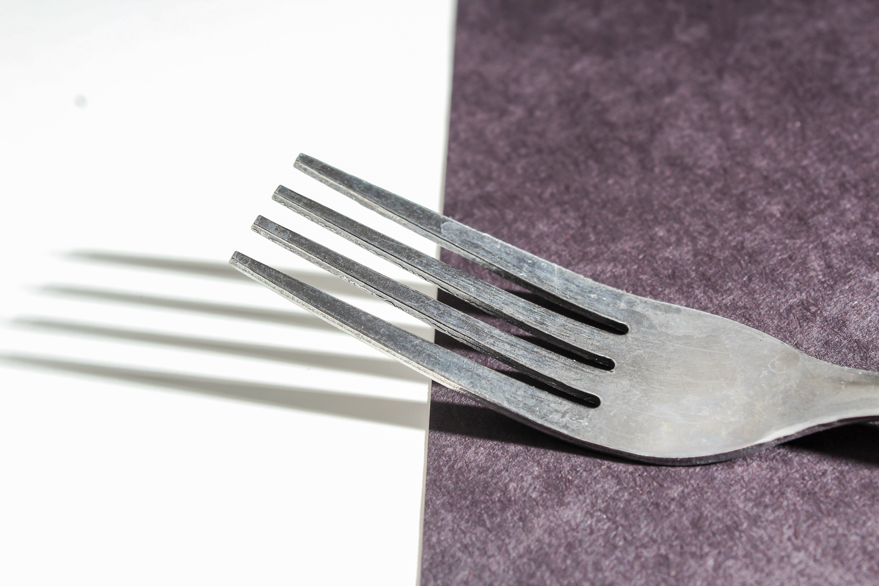 Seeing Through a Different Lens