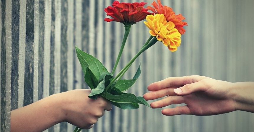 Deaconess Diary: Kindness and Resilience