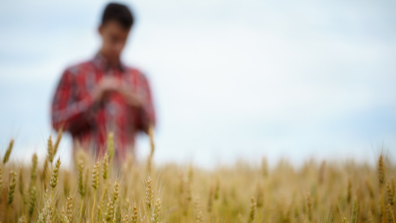 Cameron: A Walking Miracle